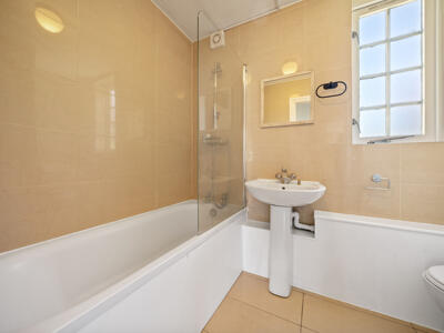 Picture 7